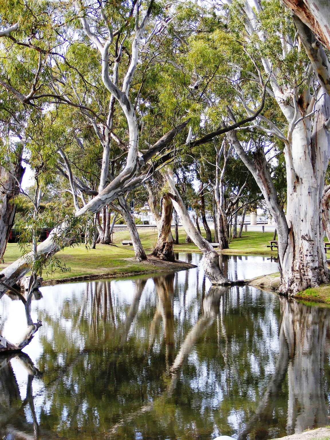 Tolmer Park